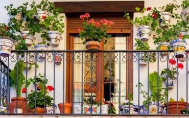 Жизнь в Алании