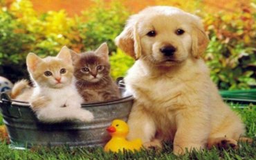 Мировые новости