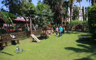 Жизнь в Алании