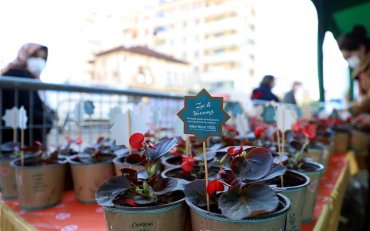 Жизнь в Алании