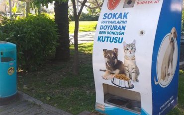 Жизнь в Алании